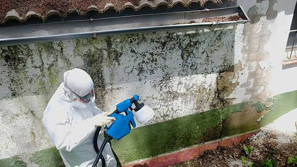 Trusted Mold Testing service in Medford, OR - Cheap Mold Removal